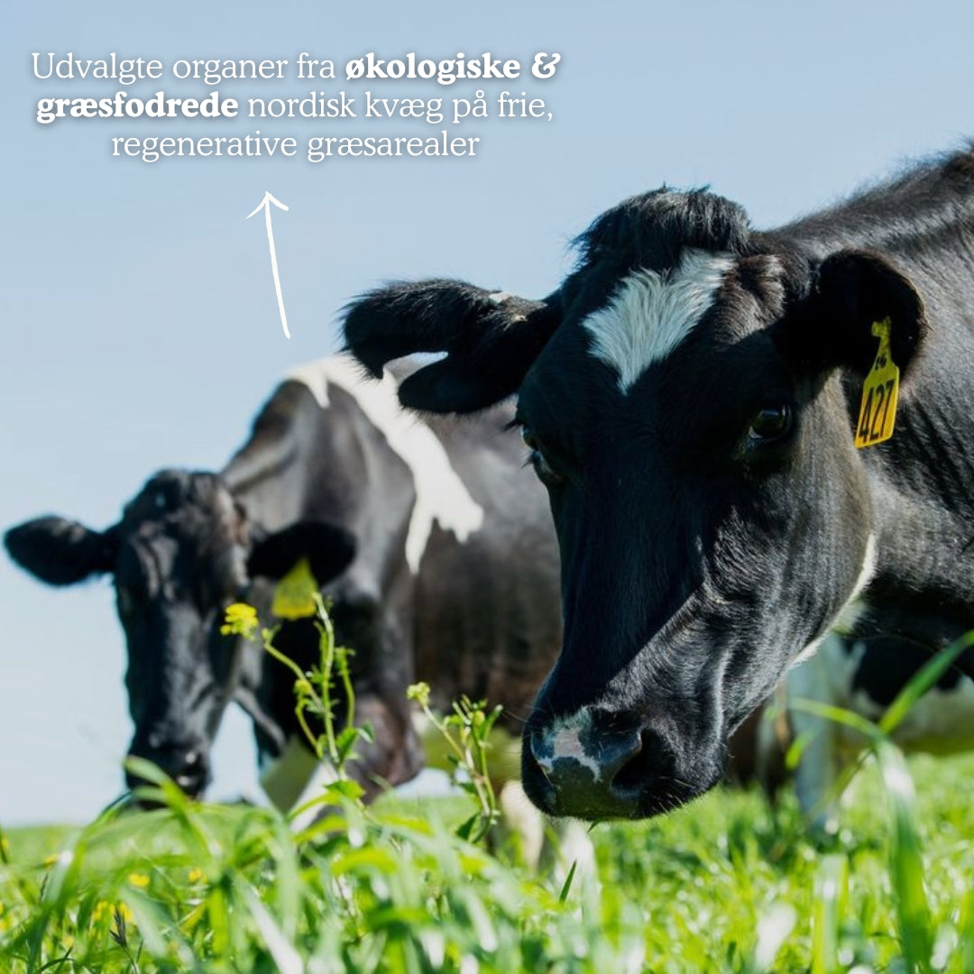 Økologisk Organ Matrix