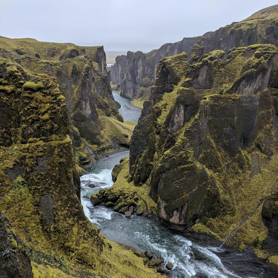 Biodynamisk og regenerativt landbrug: Hvad betyder det for dine fødevarer?