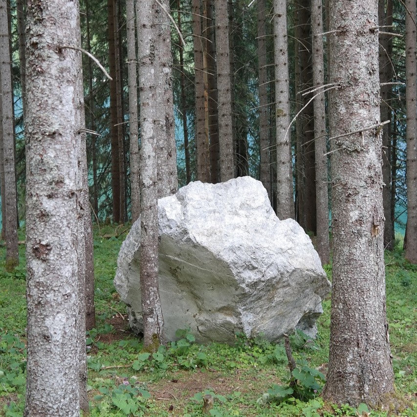 Det, vi bærer, men aldrig ser