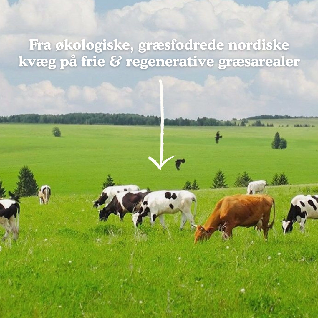 Prøvepakken (Organ Matrix)