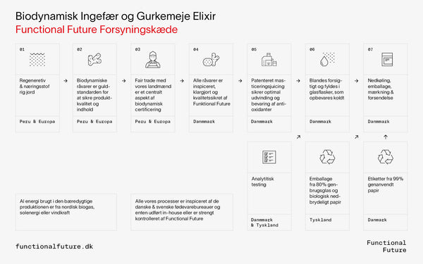 Biodynamisk Ingefær/gurkemeje drik