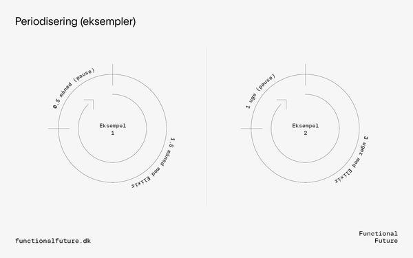 Biodynamisk Ingefær/gurkemeje drik