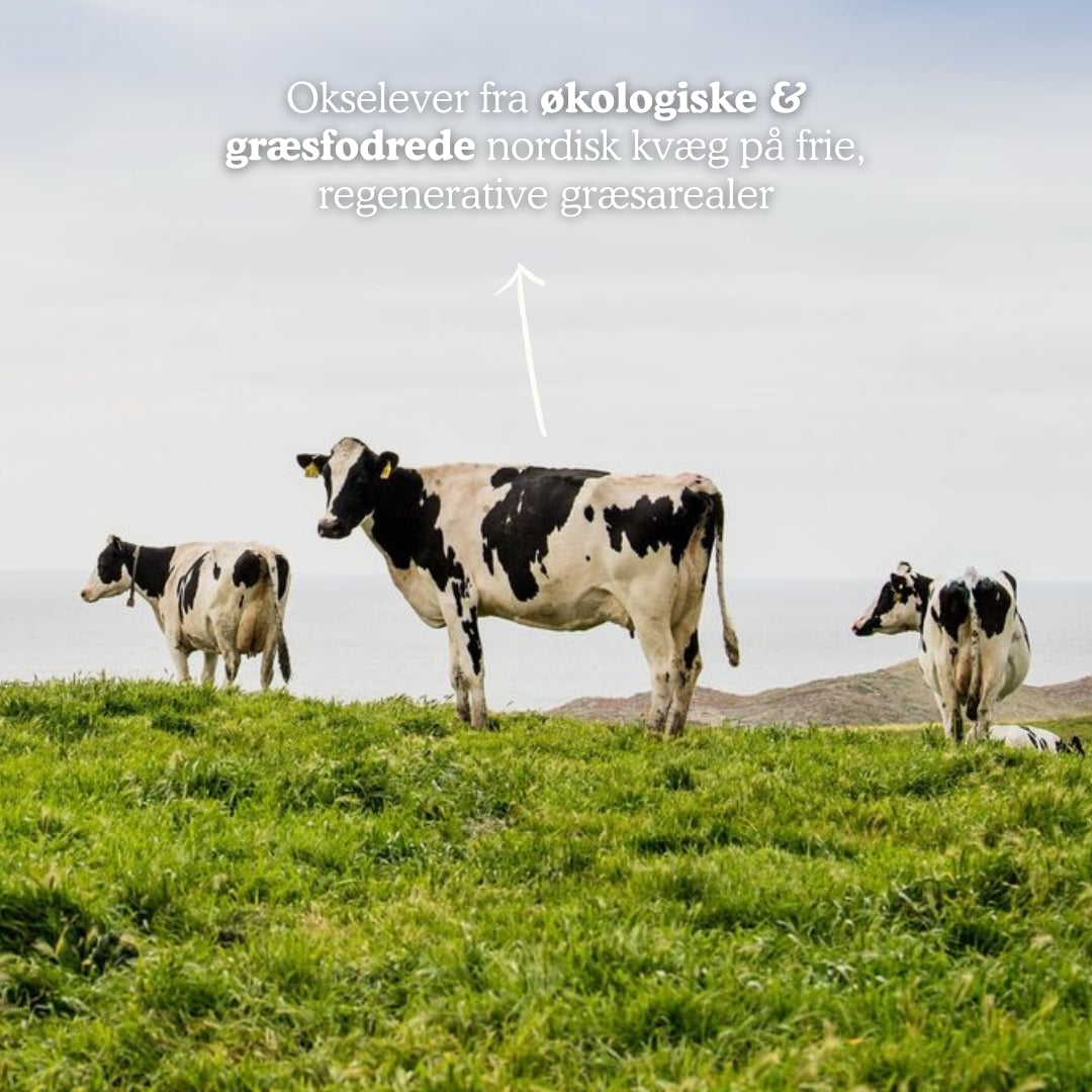 Økologisk Okselever